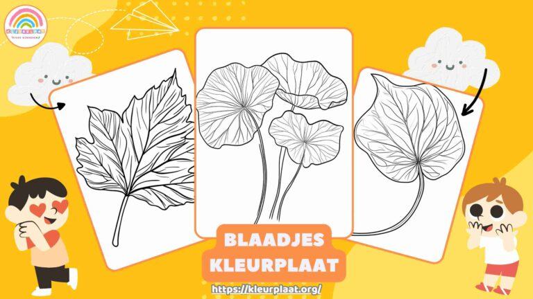 Blaadjes Kleurplaat Uitgelichte Afbeelding