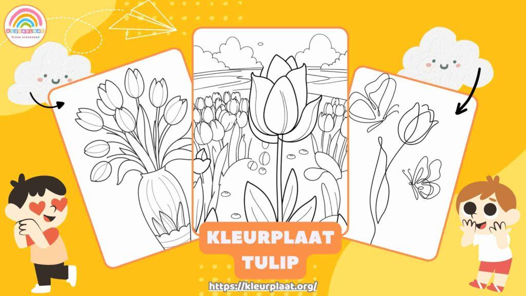 Kleurplaat Tulip Uitgelichte Afbeelding