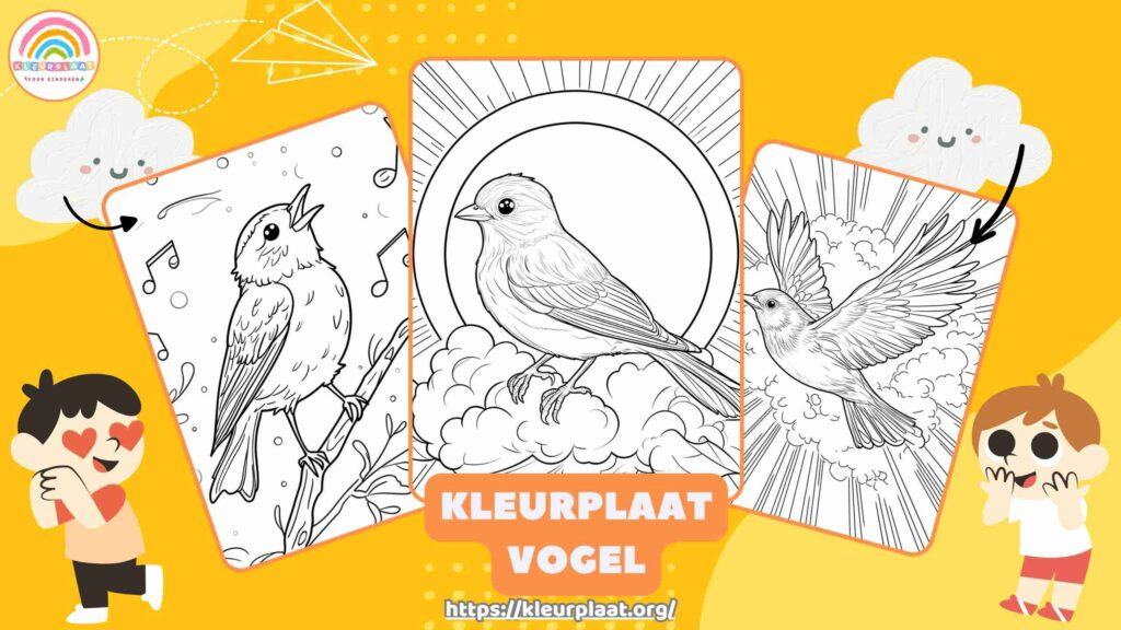 Kleurplaat Vogel Uitgelichte Afbeelding