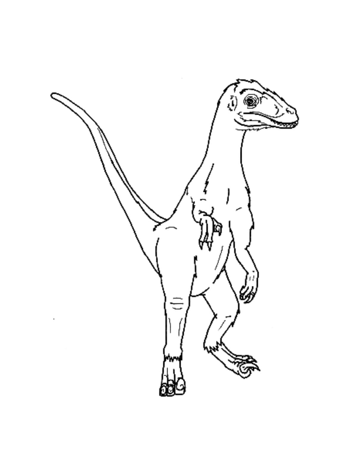 Therizinosaurus Dino Kleurplaat