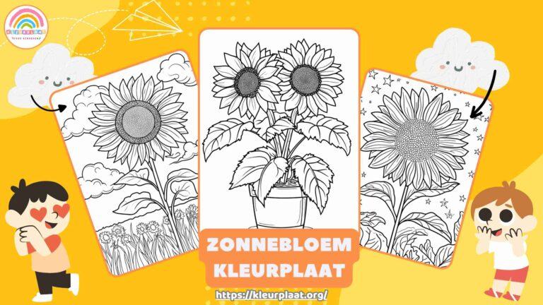 Zonnebloem Kleurplaat Uitgelichte Afbeelding