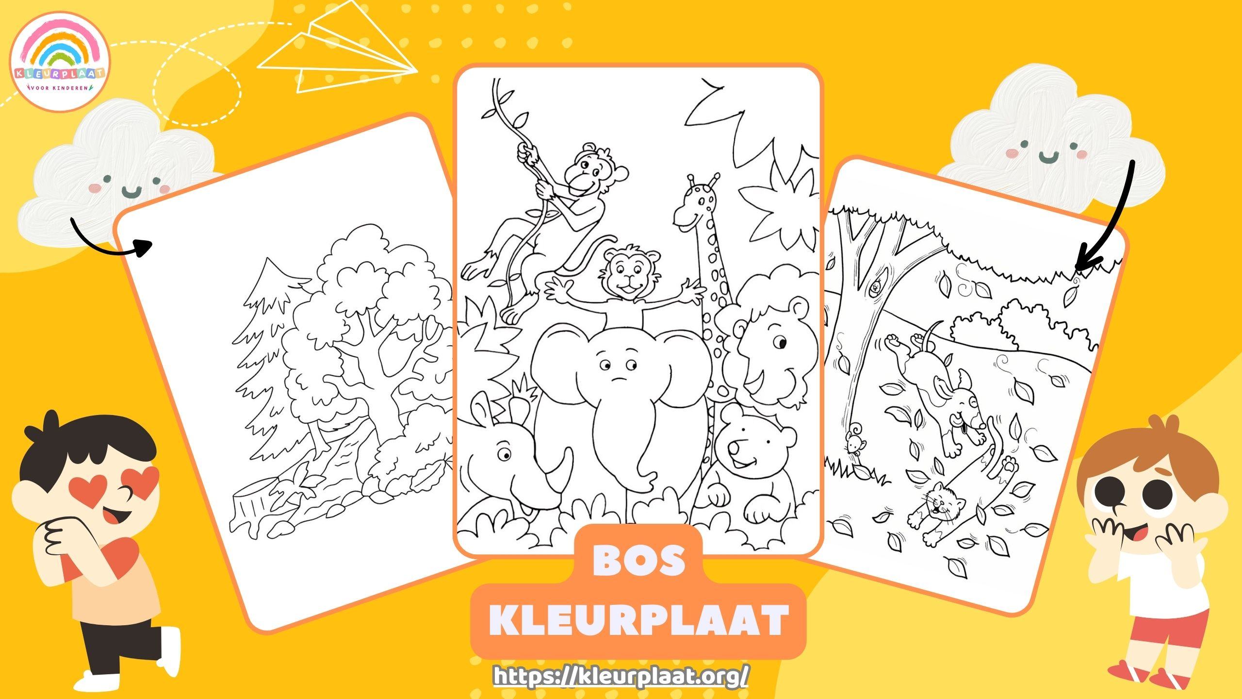 Bos Kleurplaat