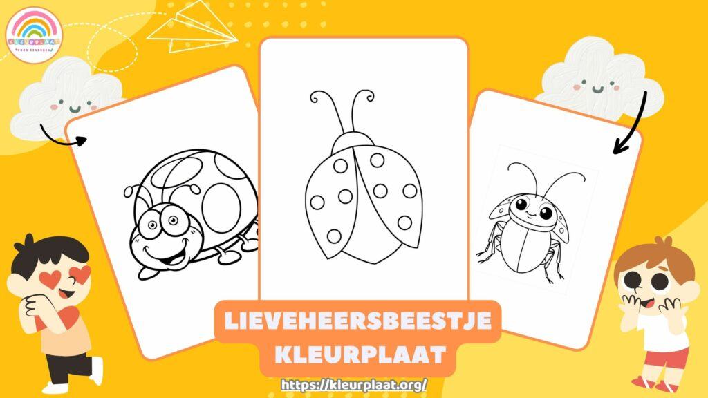 Kleurplaat Lieveheersbeestje