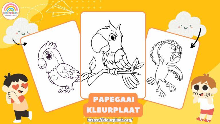 Kleurplaat Papegaai