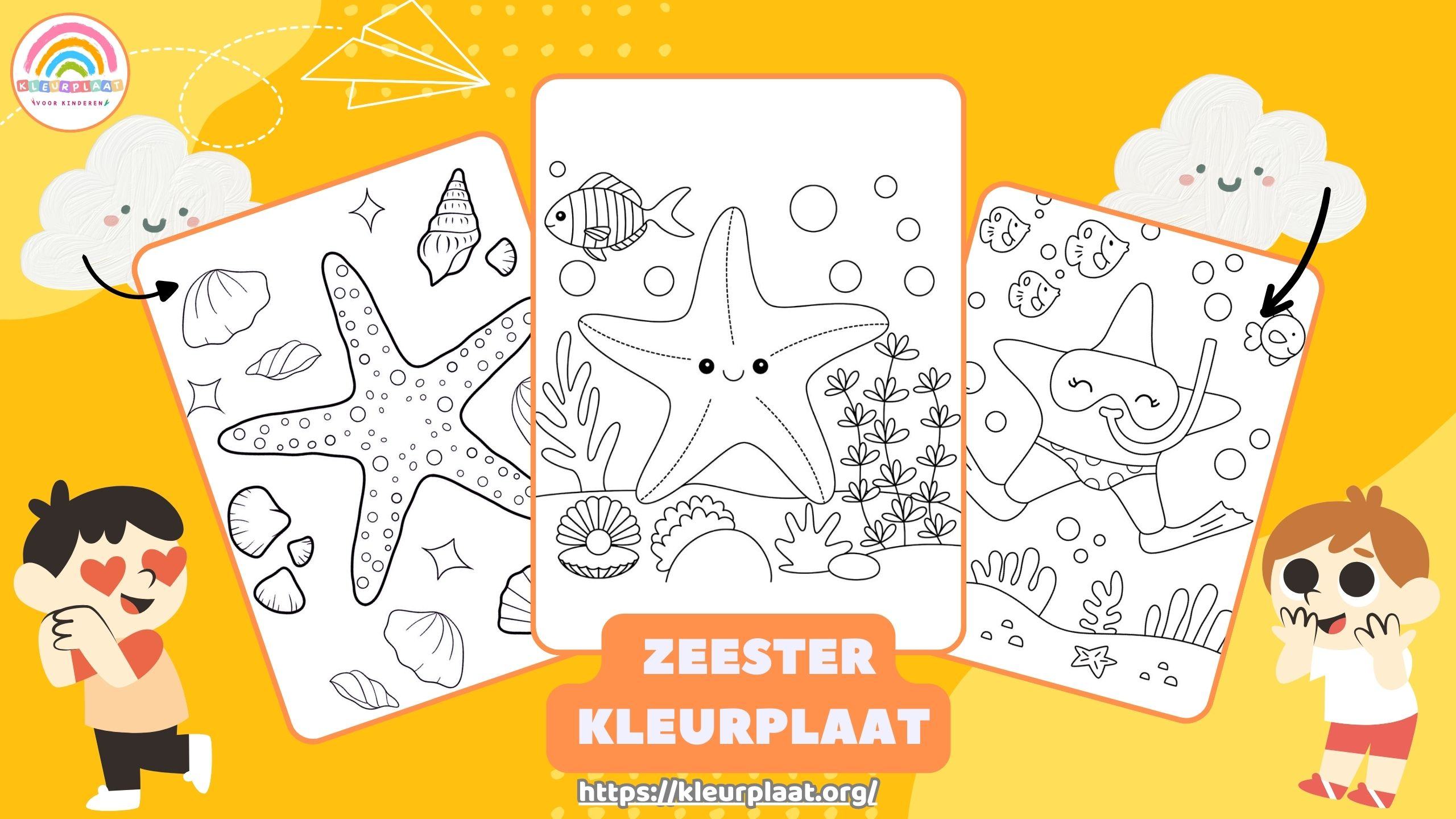 Kleurplaat Zeester