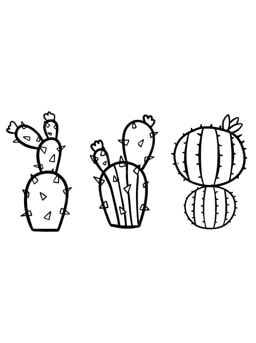 Kleurplaten Cactus Kleine Cactussen