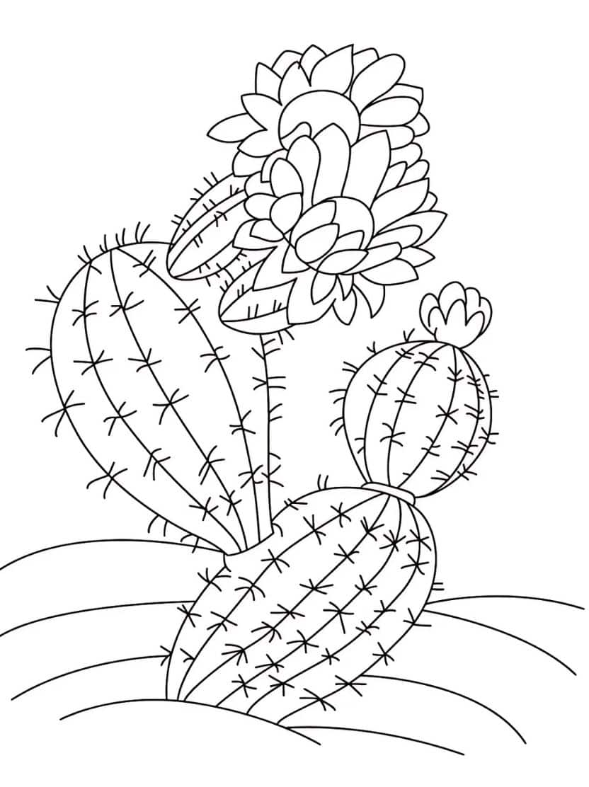 Kleurplaten Cactus Met Bloemen Gratis