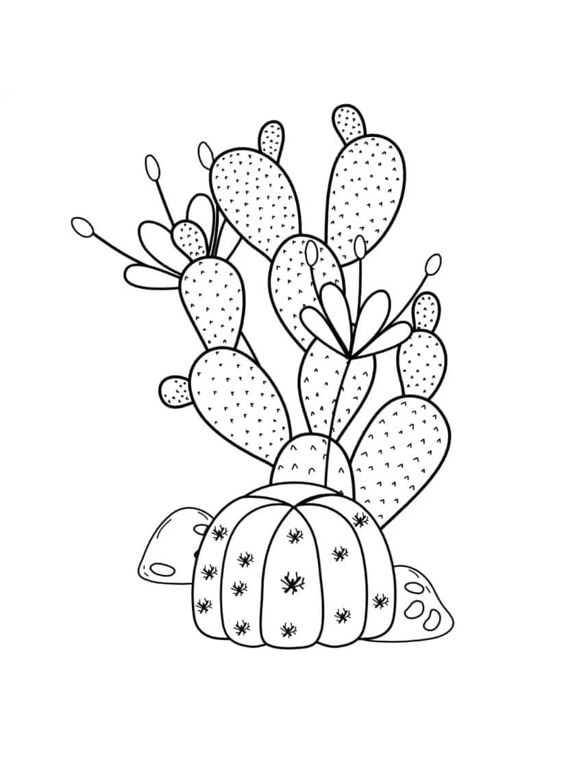 Kleurplaten Cactus Met Bloemen