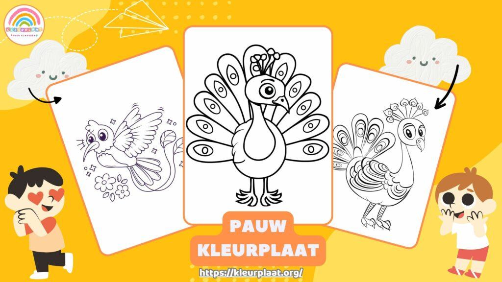 Pauw Kleurplaat