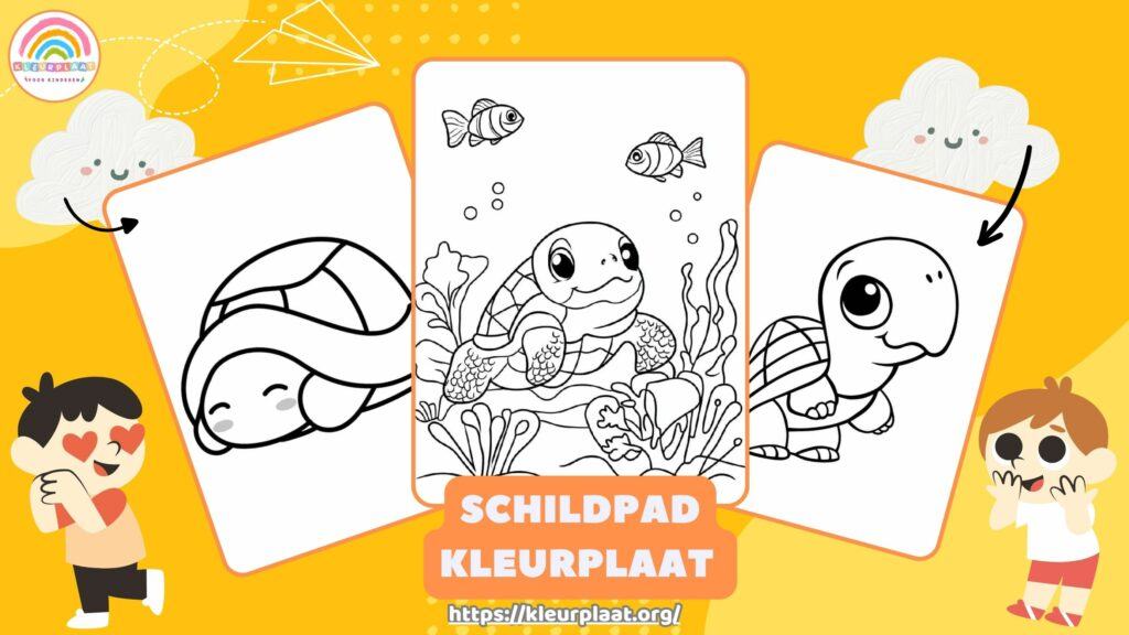 Poster Kleurplaat Schildpad