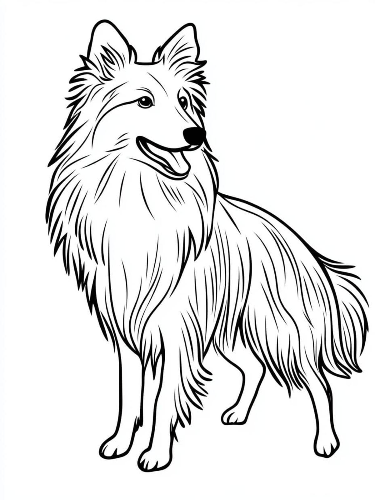 Sheltie Dog Outline Voor Kleurplaat Eenvoudige Lijn