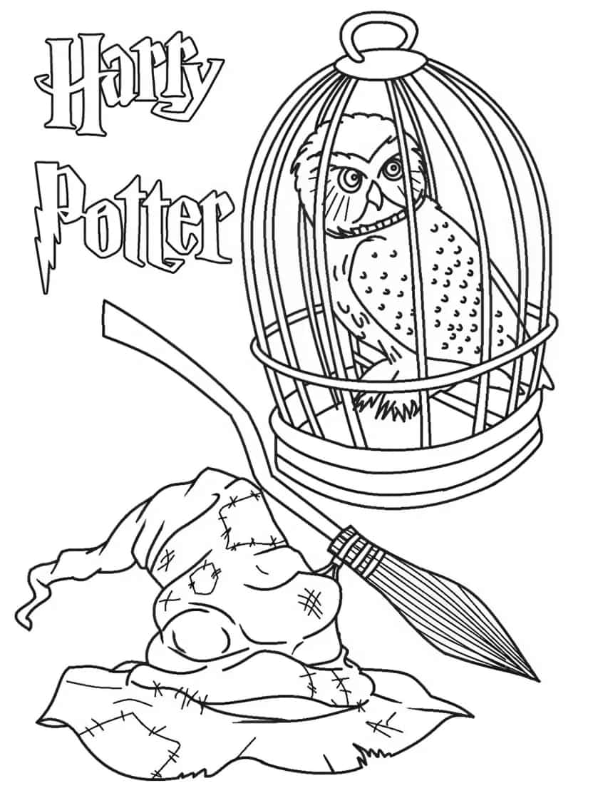 Harry Potter Uil En Bezem