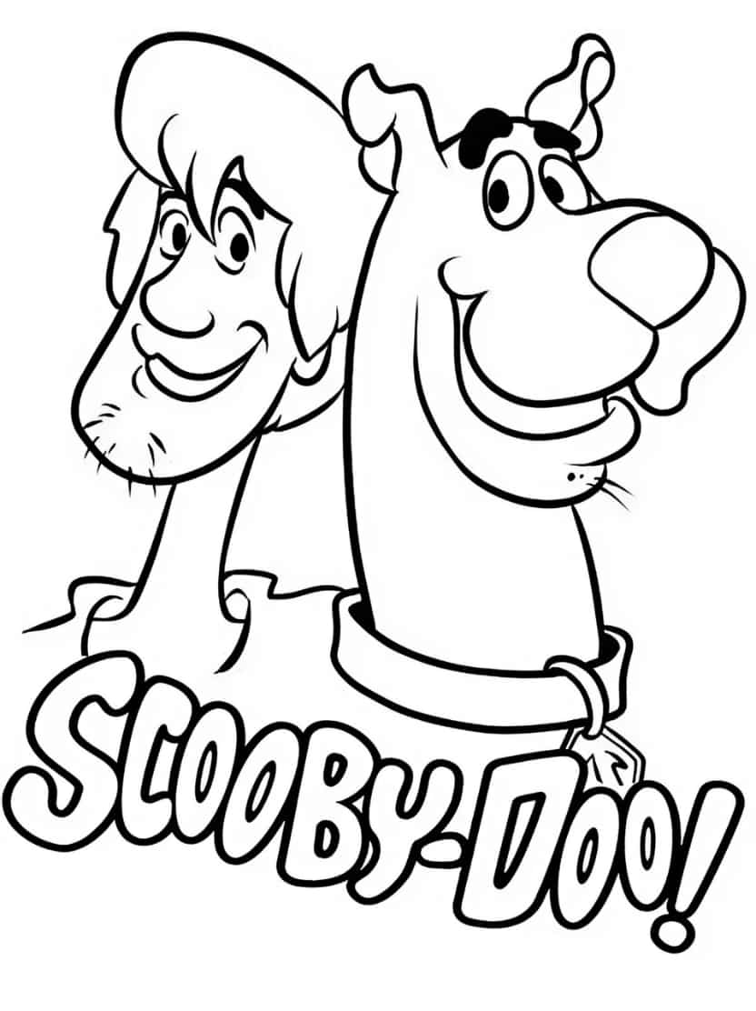 Scooby Doo En Shaggy Rogers